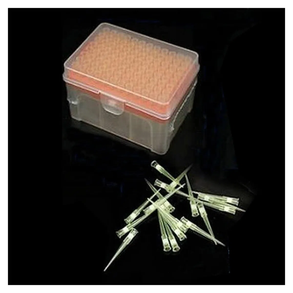 1 set di puntali for pipette in plastica da laboratorio da 10 ul/10 ul-L/20 ul/50 ul/100 ul/200 ul/300 ul/1 ml/5 ml/10 ml con puntali for pipette(200ul tips and box)