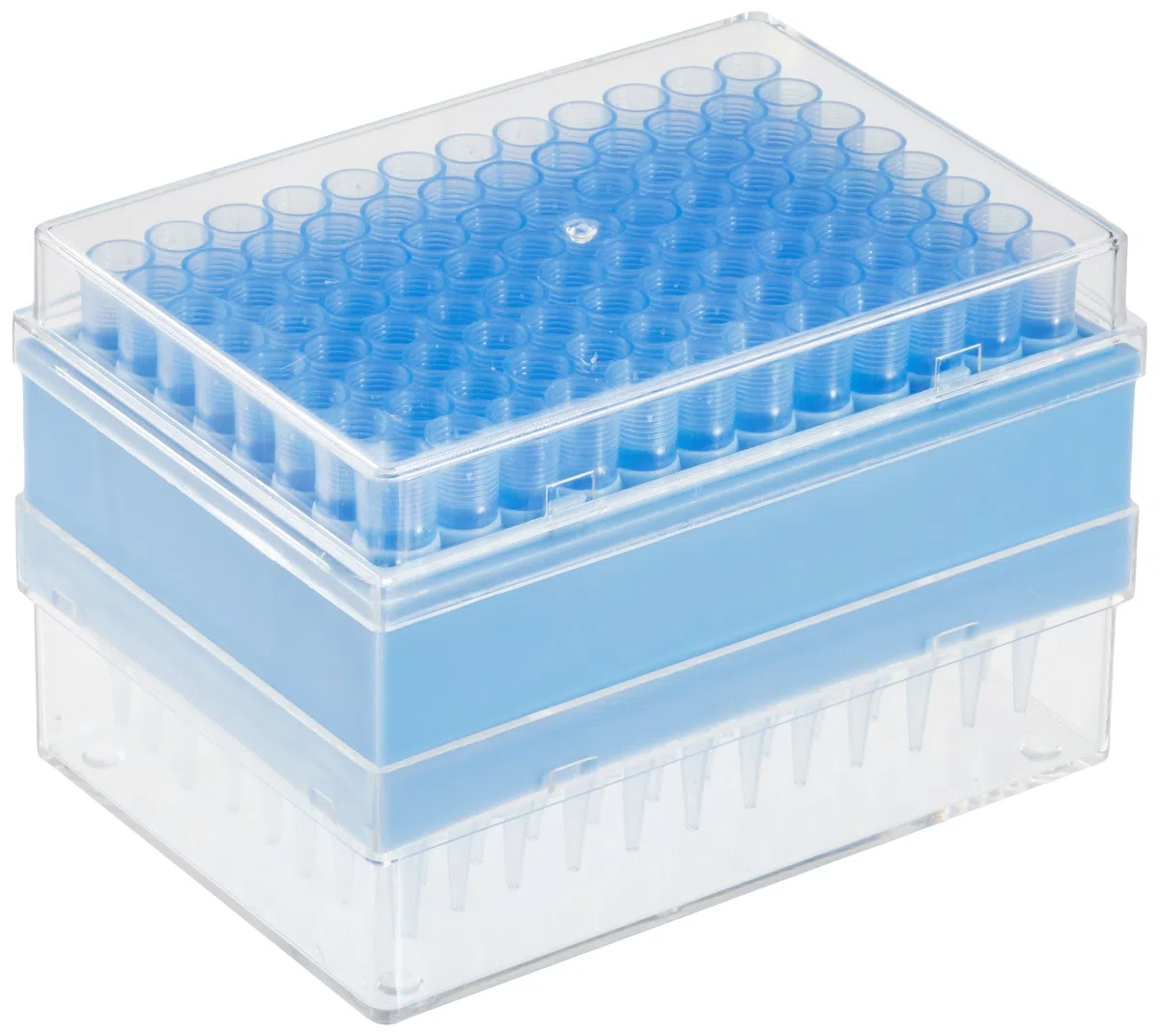 pipetta punte 100 – 1000µl r-96st/Rack per witopet pipette